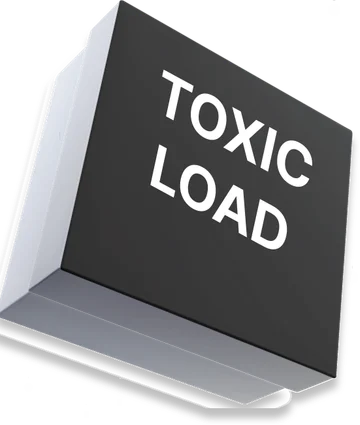 TOXIC LOAD 솔루션 큐브